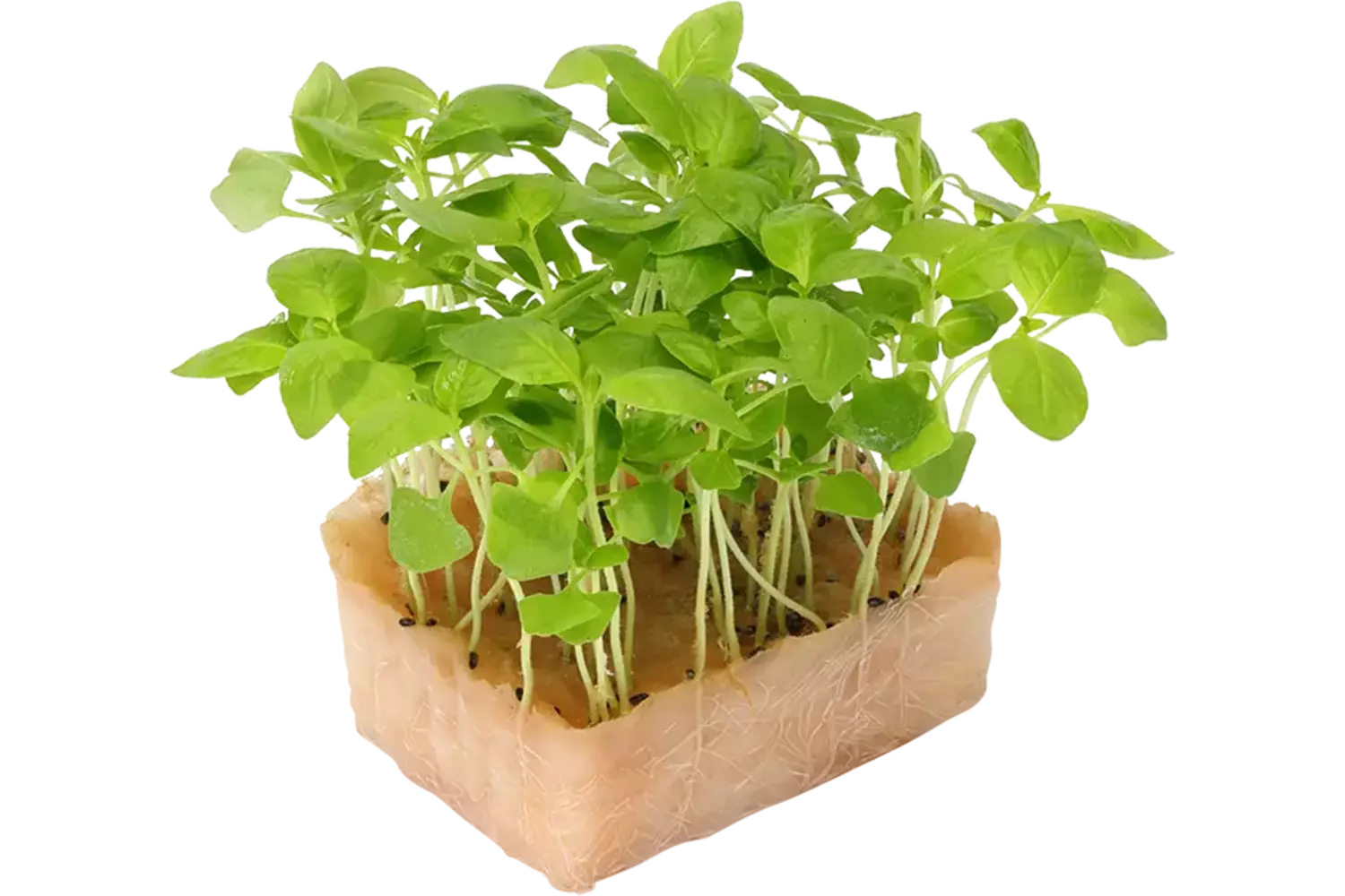 Limon Cress Duo TOPSEAL stuk 1